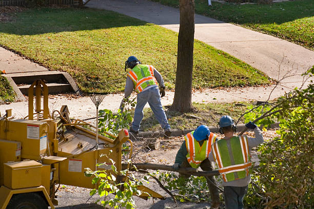 Best Soil Testing and Treatment  in St Joseph, IL